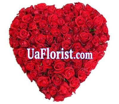 Heart of 101 roses Heart of 101 roses