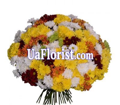 Bouquet of 75 chrysanthemums Bouquet of 75 chrysanthemums