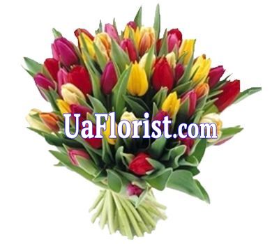 Букет із 55 різнокольорових тюльпанів Букет із 55 різнокольорових тюльпанів
