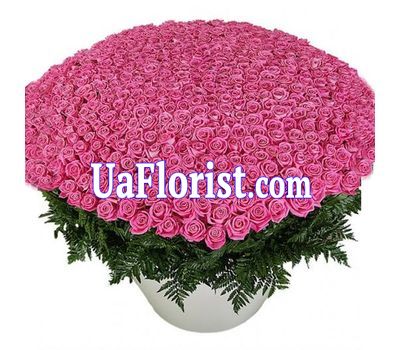 Большой букет из 501 розовой розы