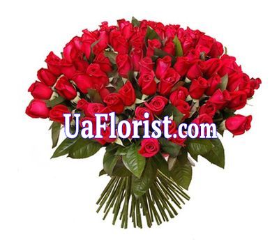 Букет из 101 красной импортной розы Букет из 101 красной импортной розы