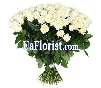 A huge bouquet of 79 white roses A huge bouquet of 79 white roses