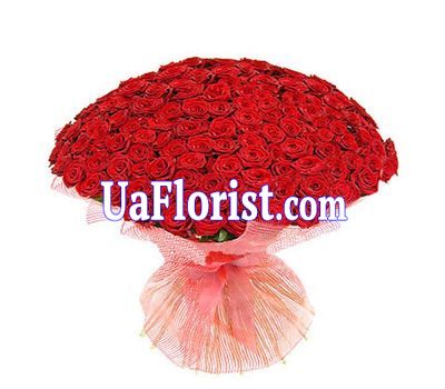 Bouquet of flowers from 101 roses Bouquet of flowers from 101 roses