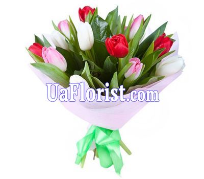 A bouquet of 11 tulips A bouquet of 11 tulips