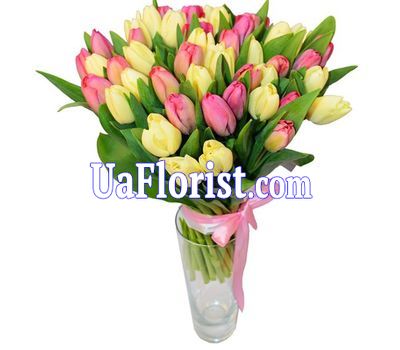 Букет із 51 тюльпана