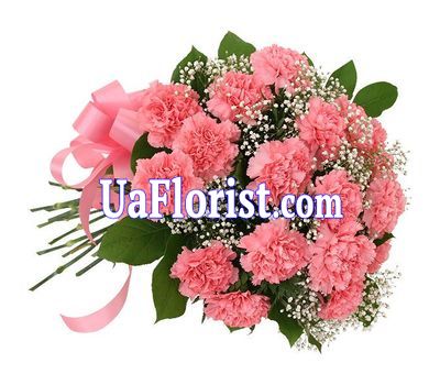 Bouquet of flowers from 17 carnations Bouquet of flowers from 17 carnations