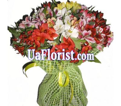 35 альстрмоерий 35 альстрмоерий