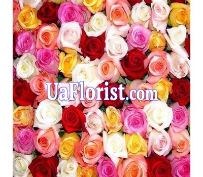 Різнокольорові троянди поштучно